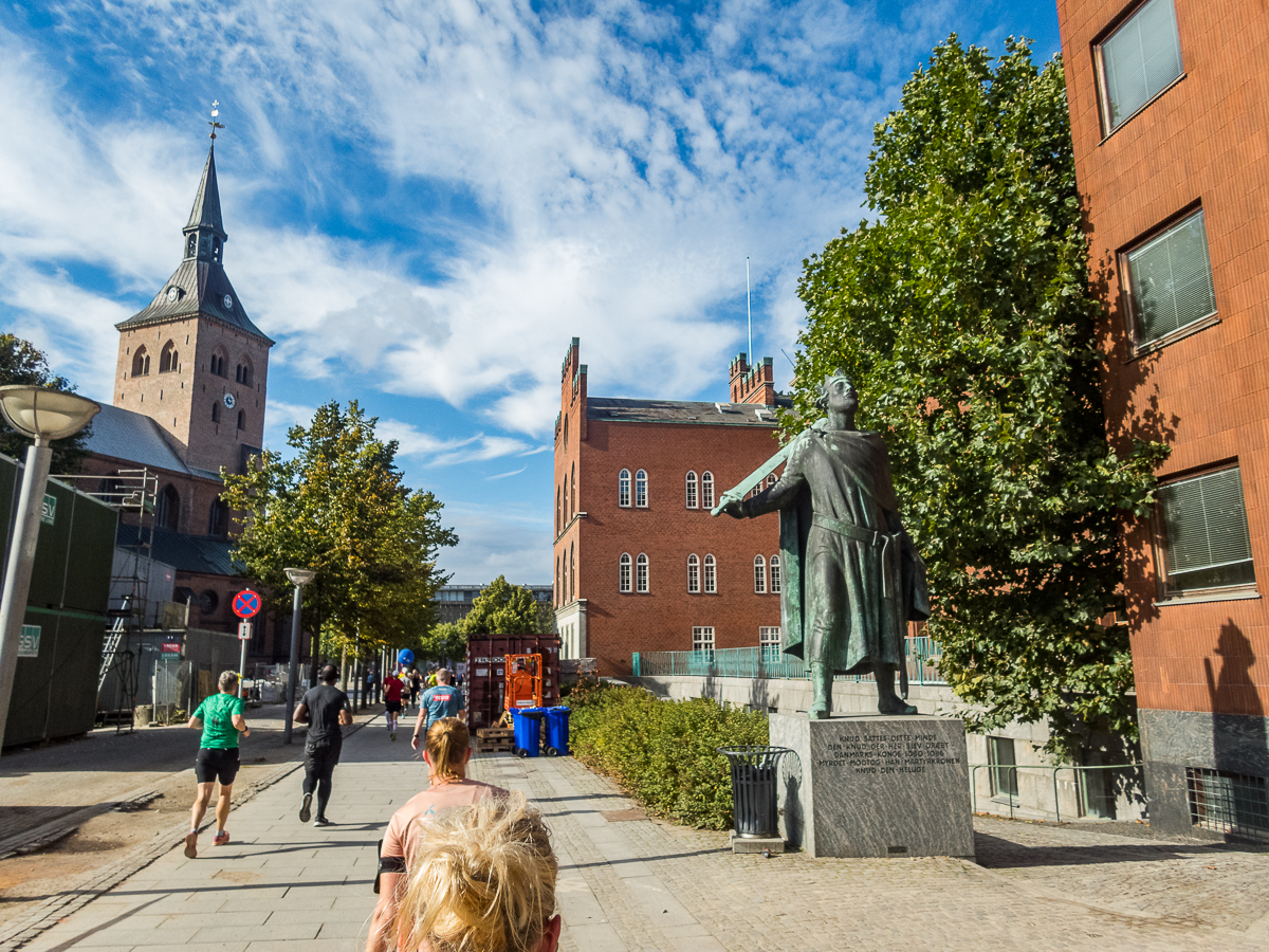 HCA Marathon 2021 (Odense, Denmark) - Tor Rnnow