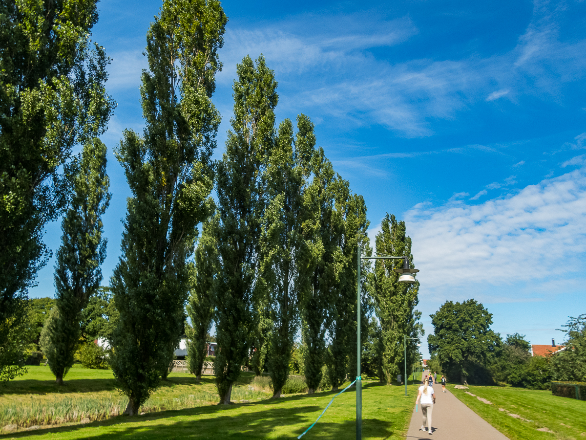 Helsingborg Marathon 2021 - HBGM - Tor Rnnow