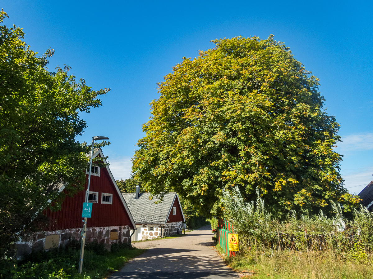 Helsingborg Marathon 2021 - HBGM - Tor Rnnow