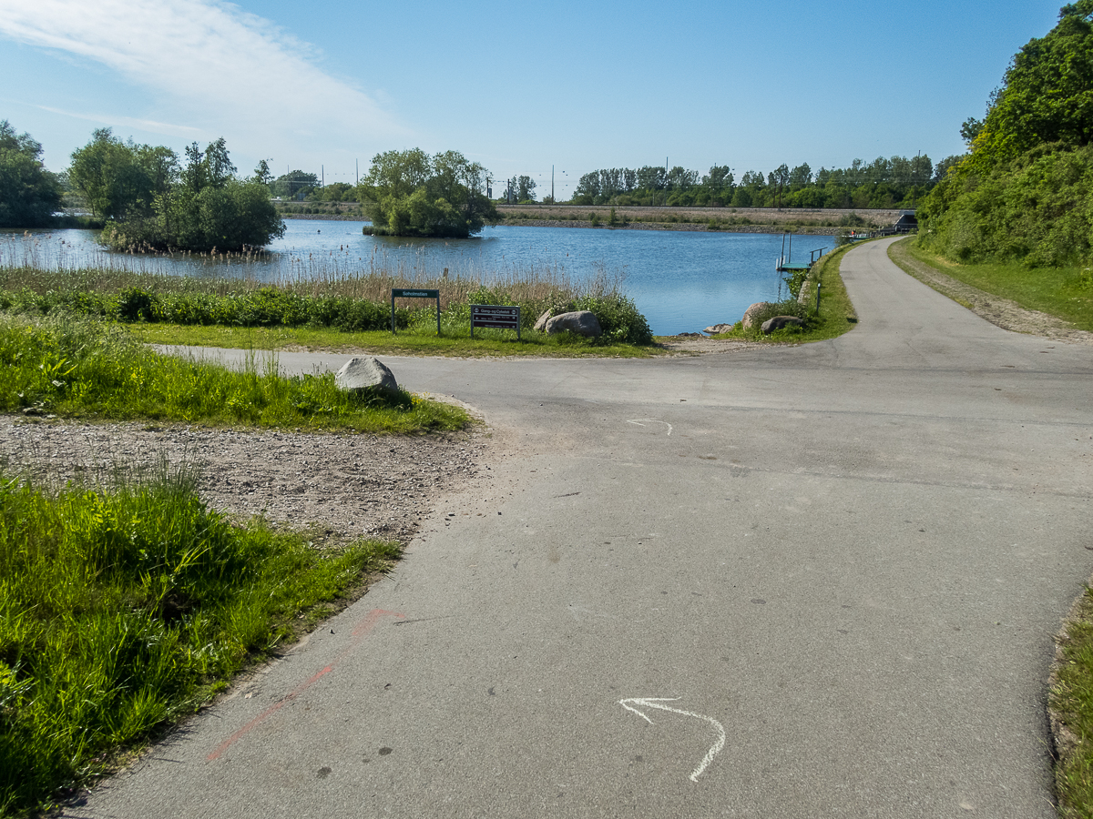 Marathon PopUp Henrik Birkedal Hansen 42.195 - 2021 - Tor Rnnow