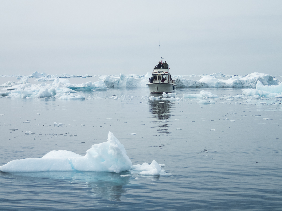 Icefjord Midnight Maraton 2022 - Tor Rnnow