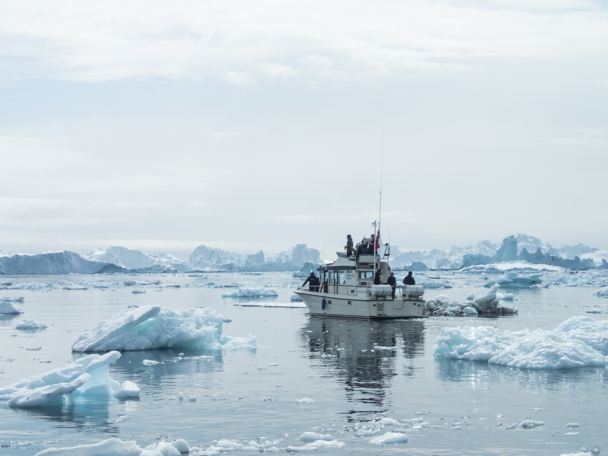 Icefjord Midnight Maraton 2022 - Tor Rnnow