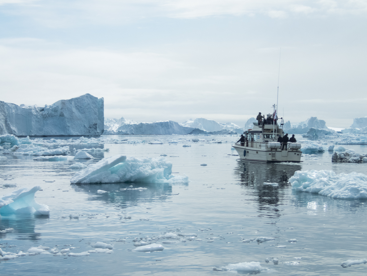 Icefjord Midnight Maraton 2022 - Tor Rnnow