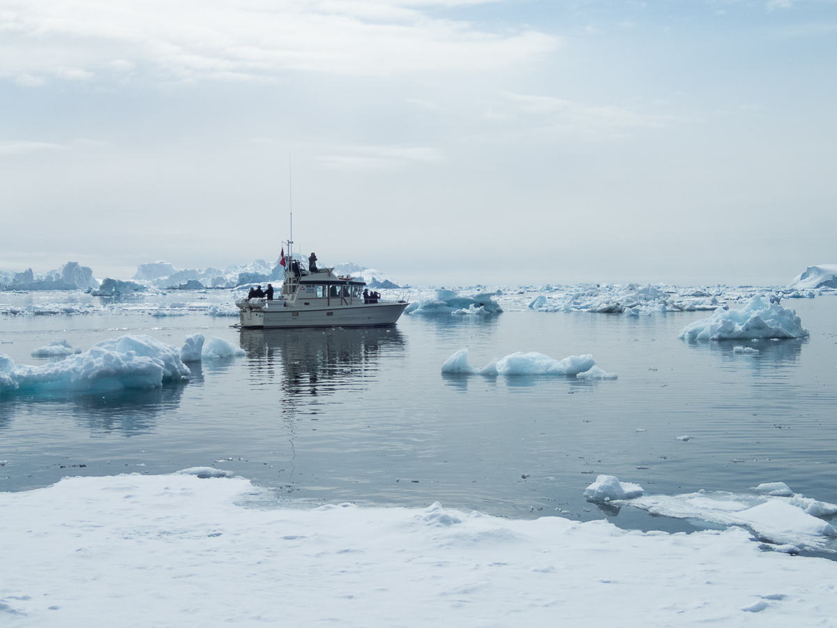 Icefjord Midnight Maraton 2022 - Tor Rnnow