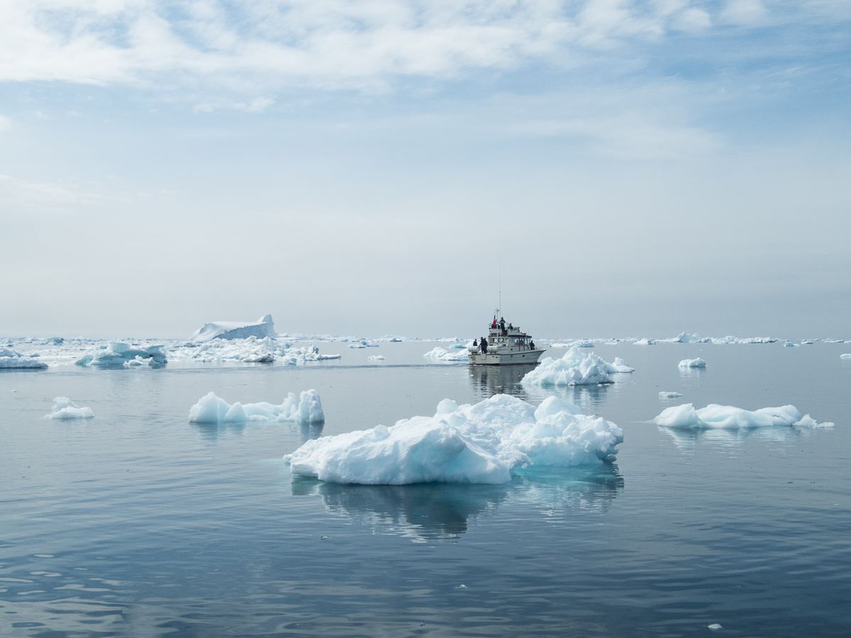 Icefjord Midnight Maraton 2022 - Tor Rnnow