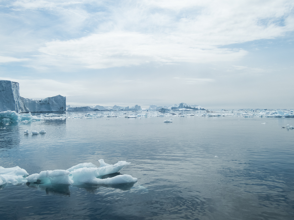 Icefjord Midnight Maraton 2022 - Tor Rnnow