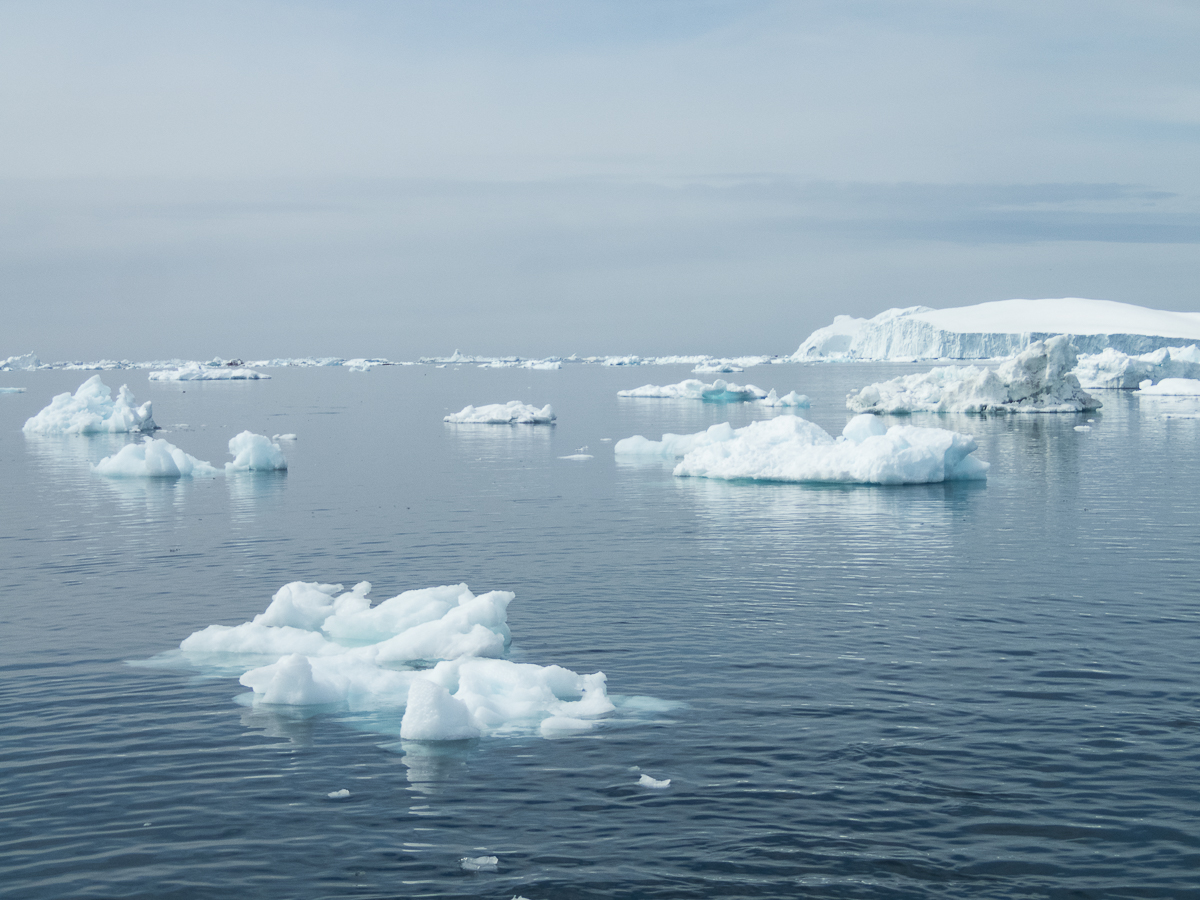 Icefjord Midnight Maraton 2022 - Tor Rnnow