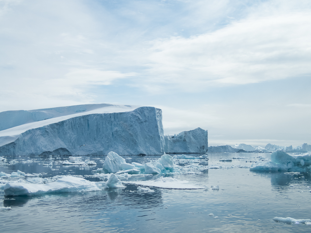 Icefjord Midnight Maraton 2022 - Tor Rnnow