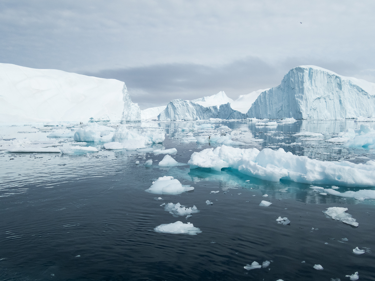 Icefjord Midnight Maraton 2022 - Tor Rnnow