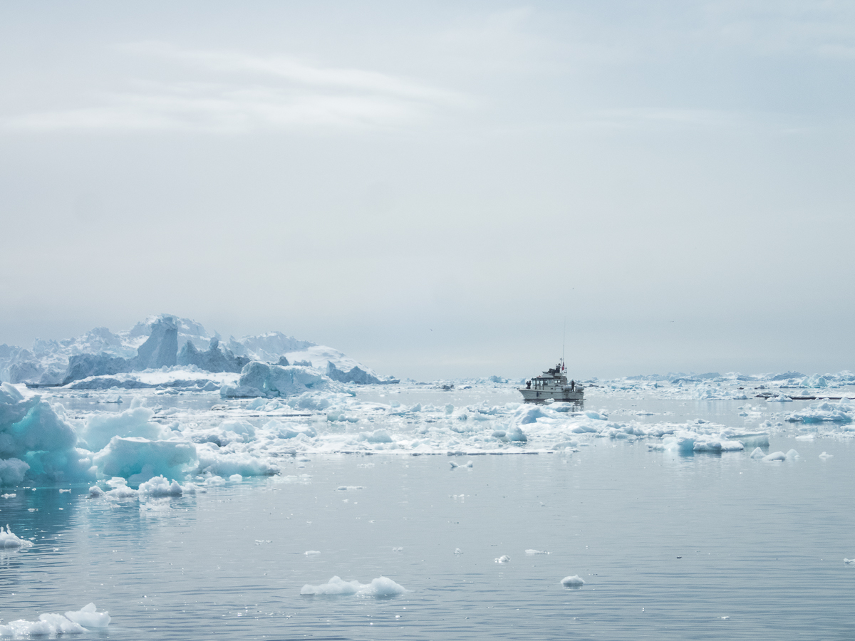 Icefjord Midnight Maraton 2022 - Tor Rnnow