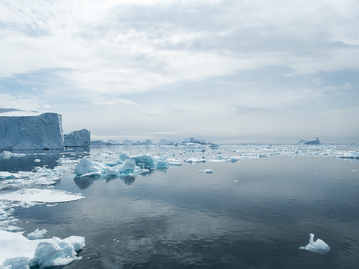 Icefjord Midnight Maraton 2022 - Tor Rnnow