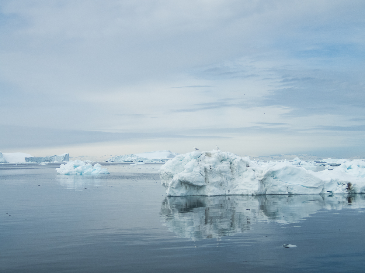 Icefjord Midnight Maraton 2022 - Tor Rnnow