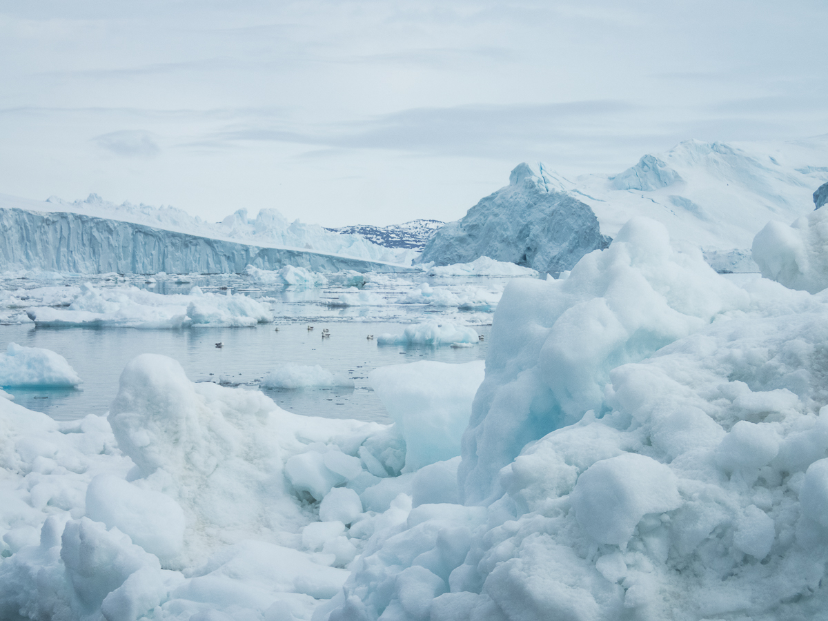 Icefjord Midnight Maraton 2022 - Tor Rnnow