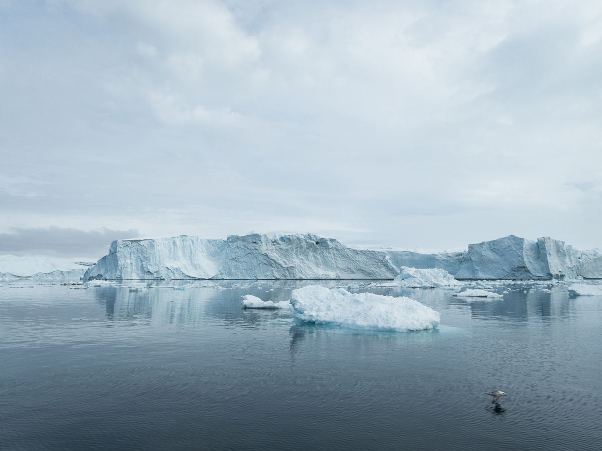 Icefjord Midnight Maraton 2022 - Tor Rnnow