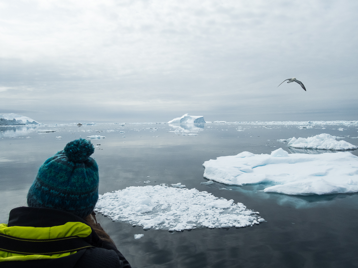 Icefjord Midnight Maraton 2022 - Tor Rnnow