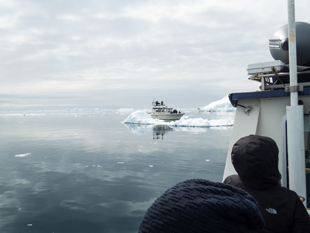 Icefjord Midnight Maraton 2022 - Tor Rnnow