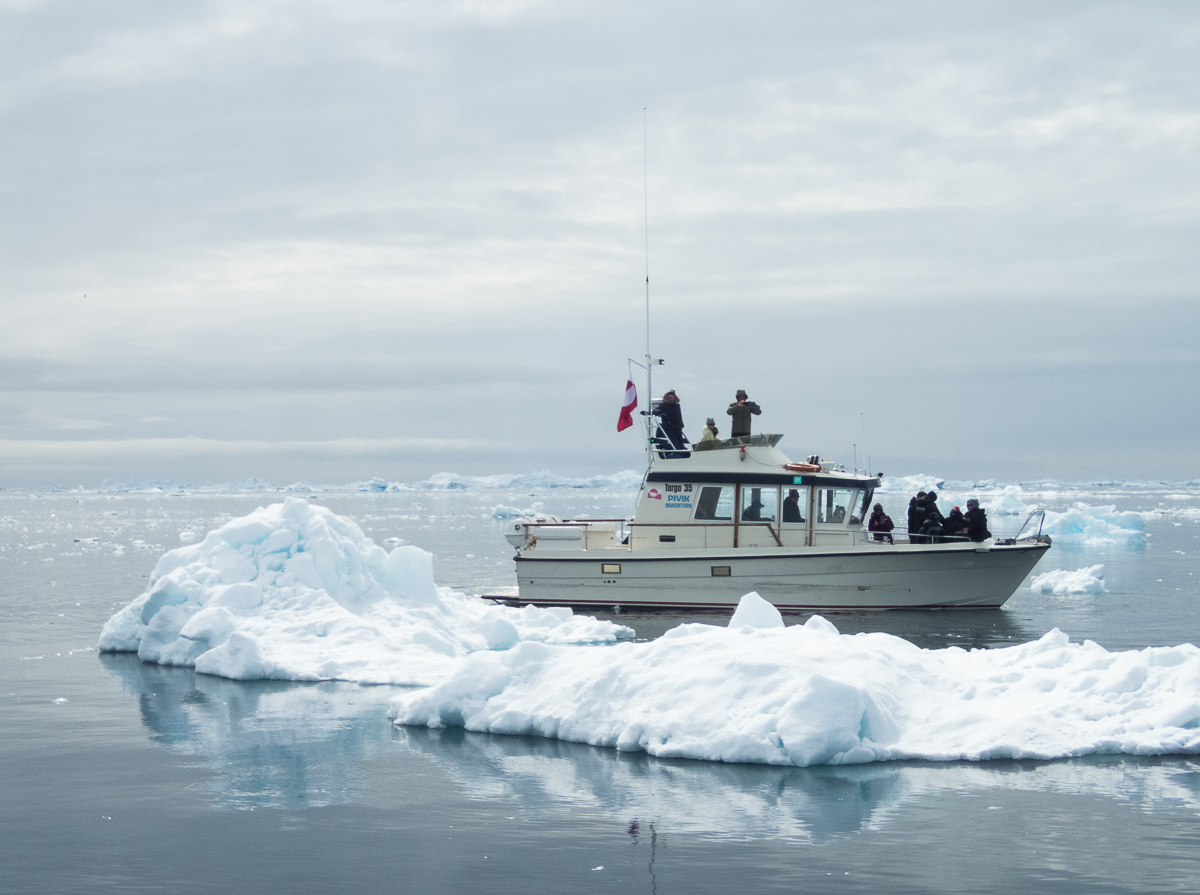 Icefjord Midnight Maraton 2022 - Tor Rnnow