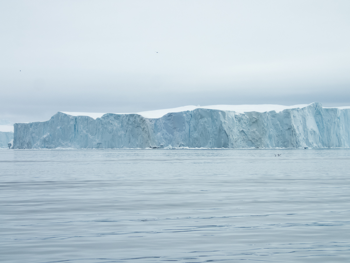 Icefjord Midnight Maraton 2022 - Tor Rnnow