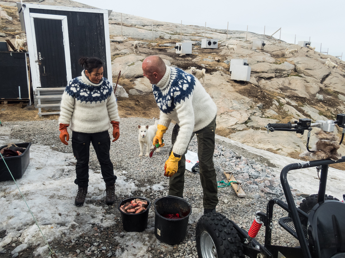 Icefjord Midnight Maraton 2022 - Tor Rnnow