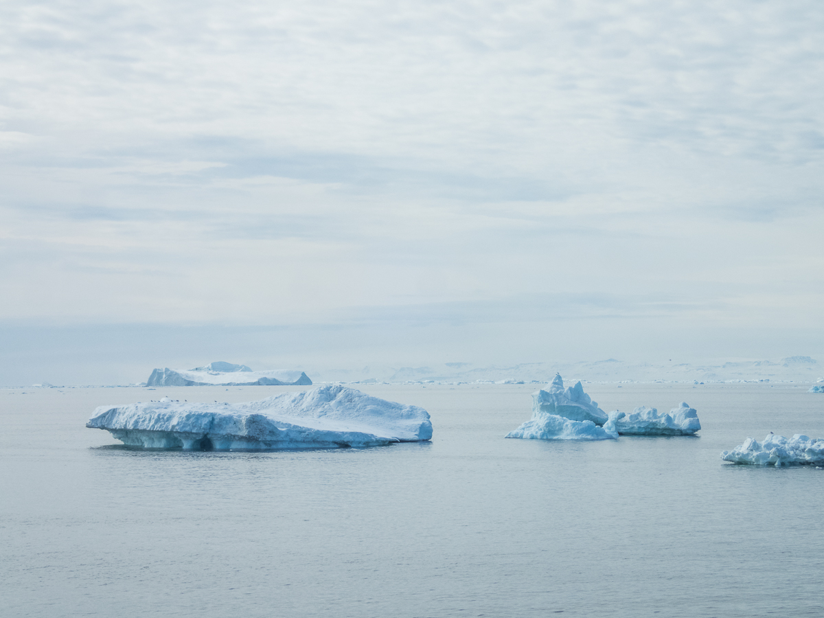 Icefjord Midnight Maraton 2022 - Tor Rnnow