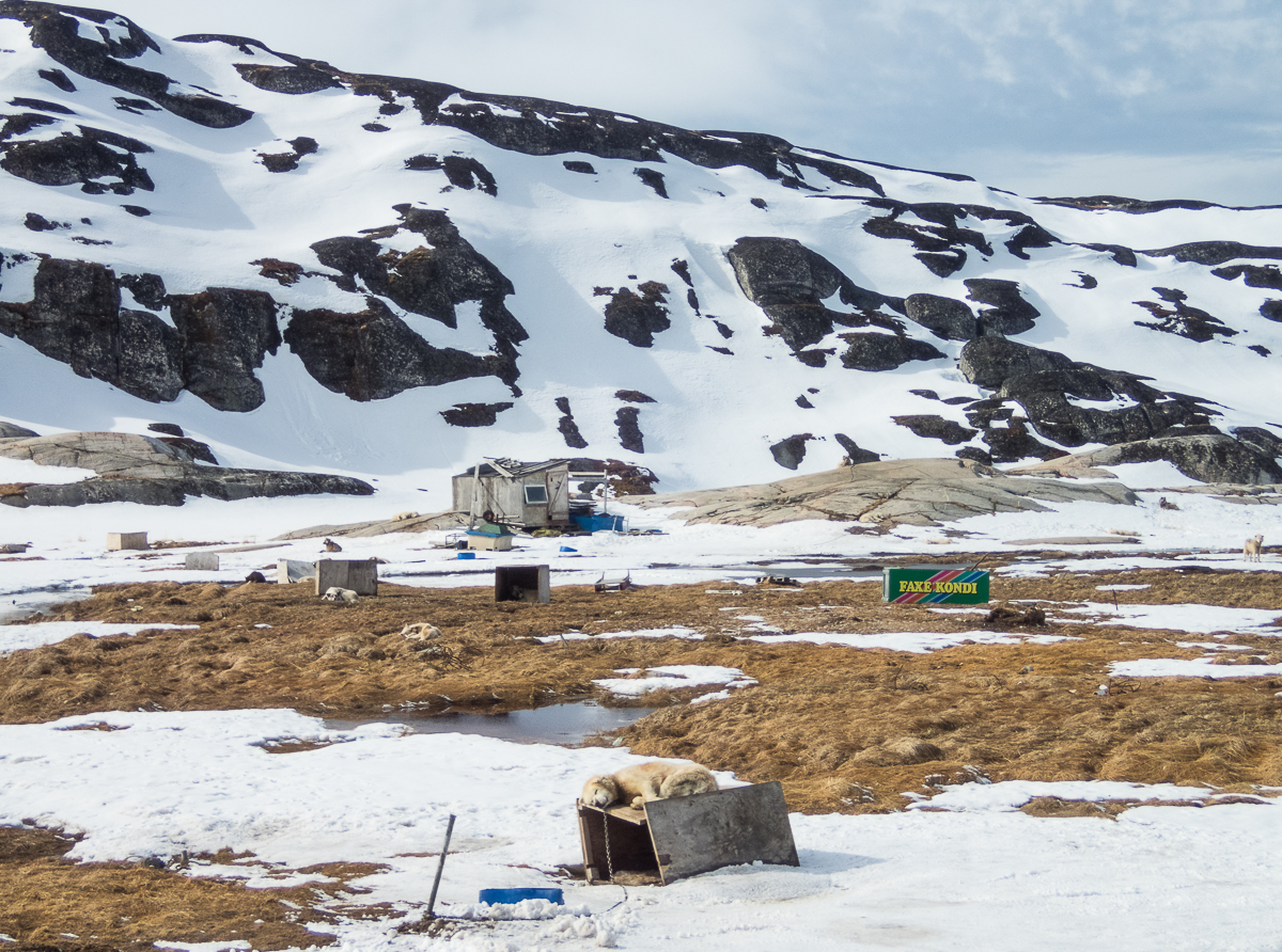 Icefjord Midnight Maraton 2022 - Tor Rnnow