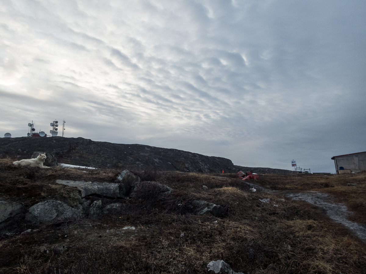 Icefjord Midnight Maraton 2022 - Tor Rnnow