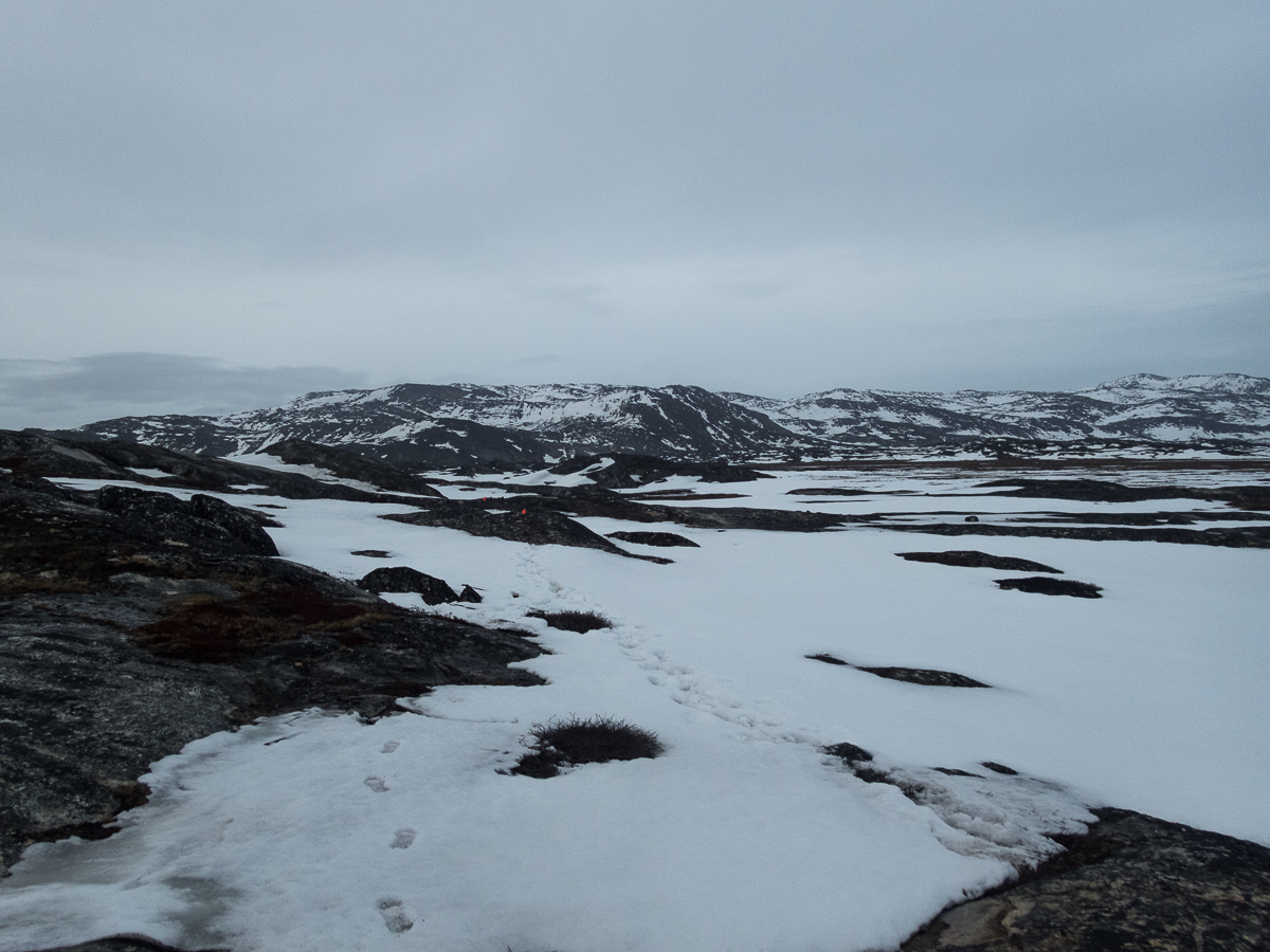 Icefjord Midnight Maraton 2022 - Tor Rnnow