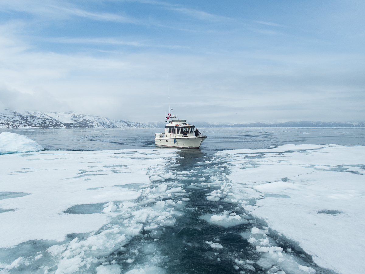 Icefjord Midnight Maraton 2022 - Tor Rnnow