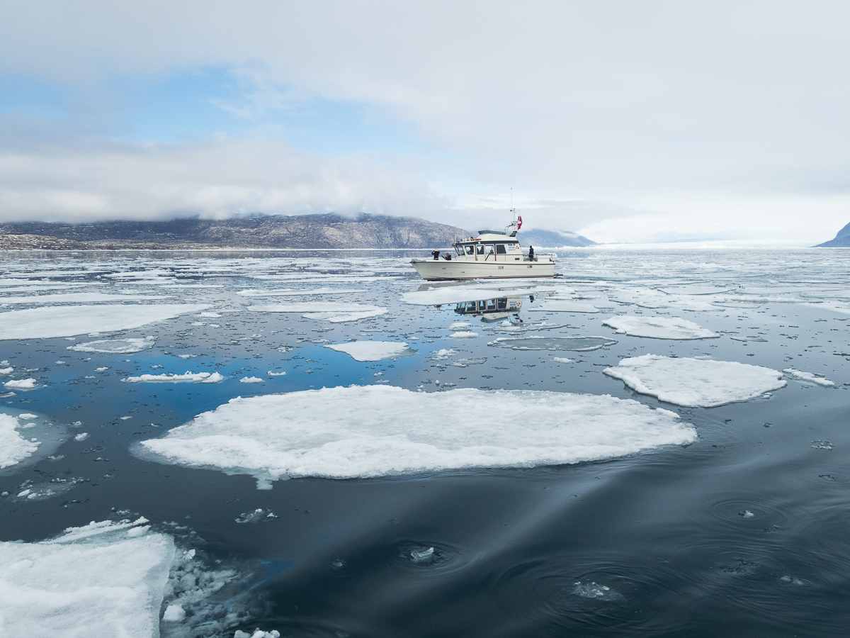 Icefjord Midnight Maraton 2022 - Tor Rnnow