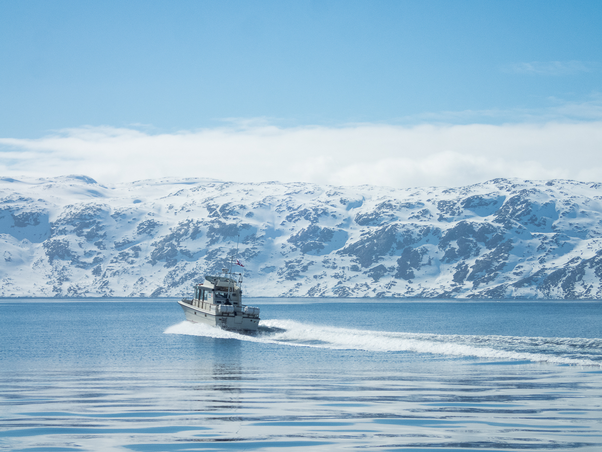 Icefjord Midnight Maraton 2022 - Tor Rnnow