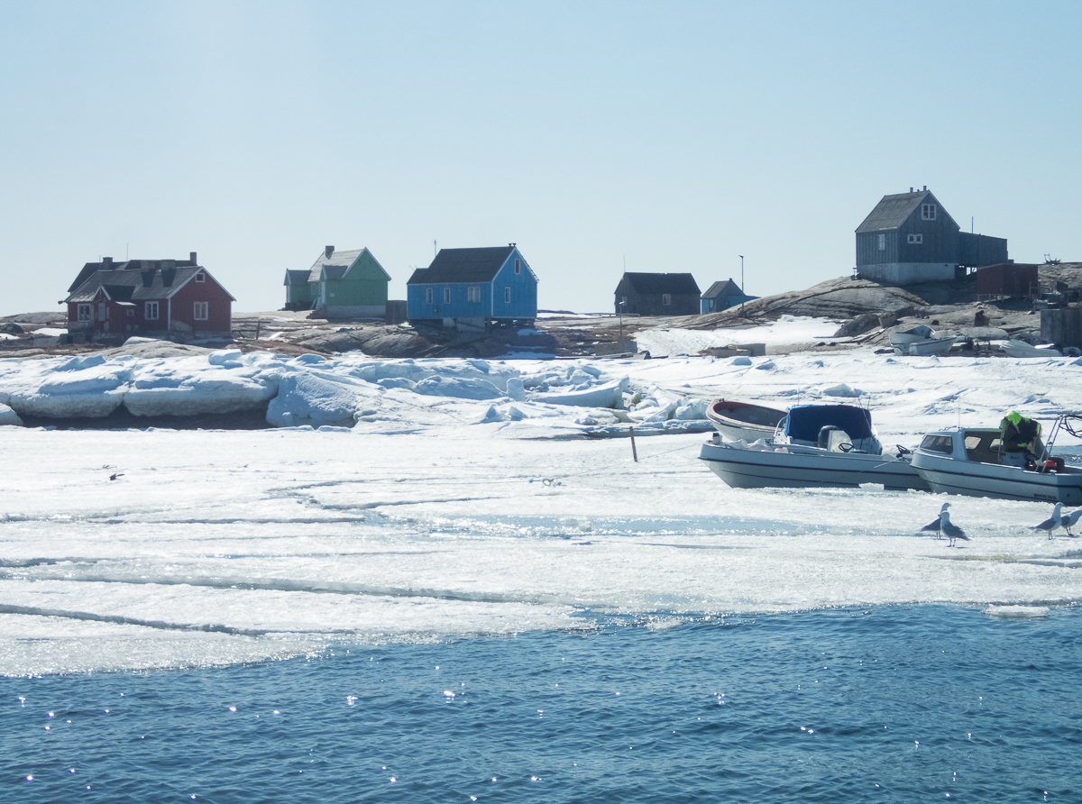 Icefjord Midnight Maraton 2022 - Tor Rnnow