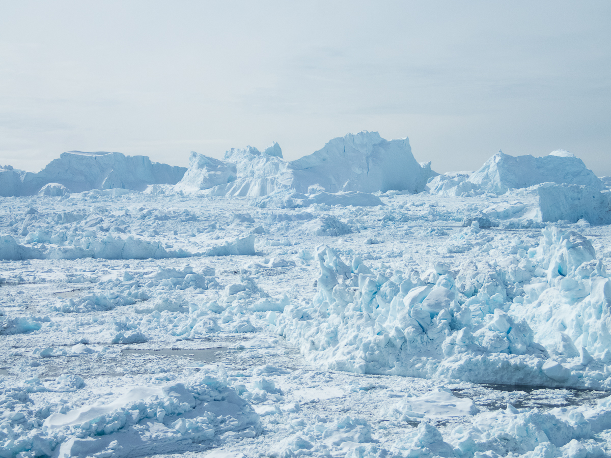 Icefjord Midnight Maraton 2022 - Tor Rnnow