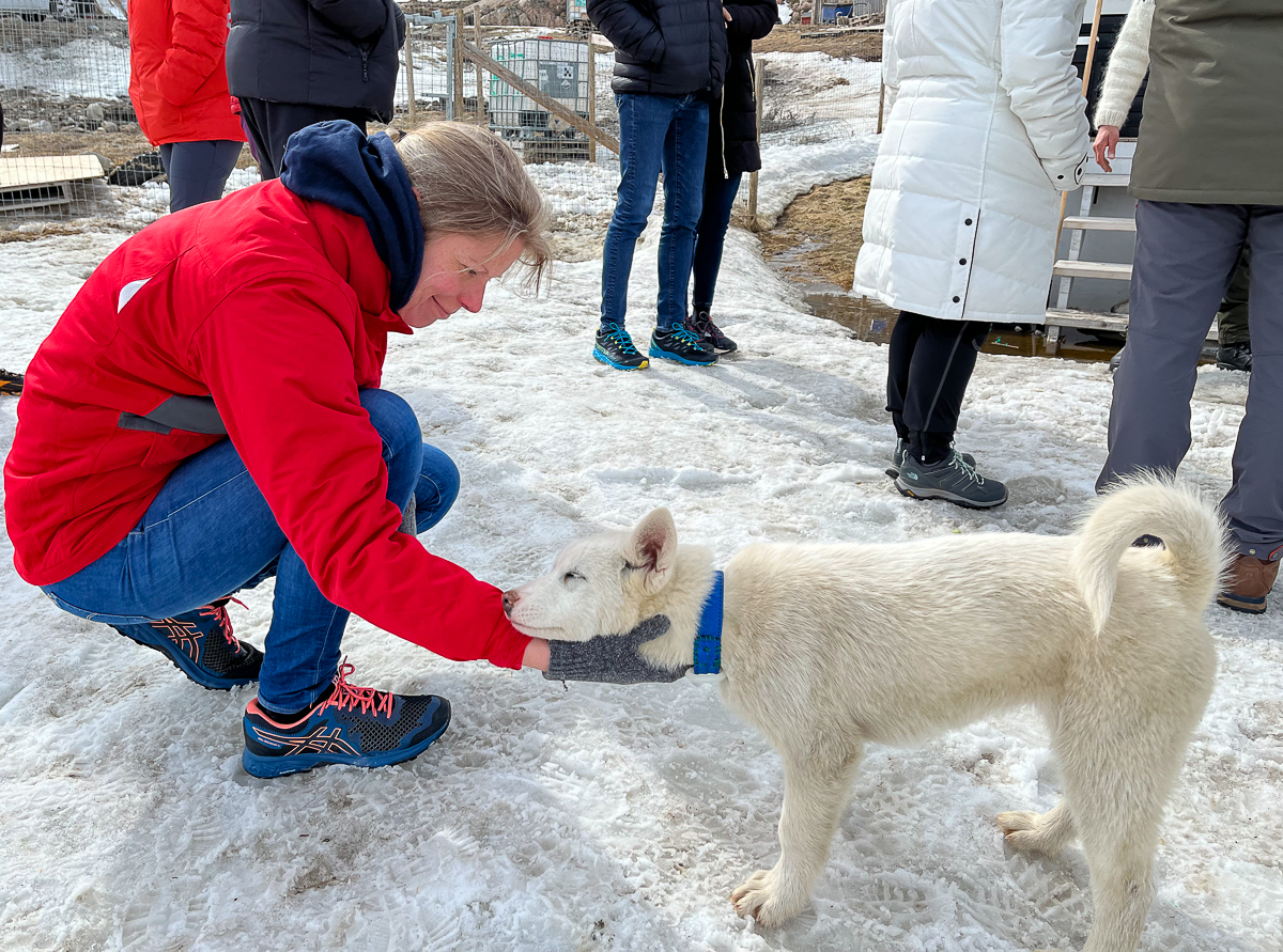 Icefjord Midnight Maraton 2022 - Tor Rnnow