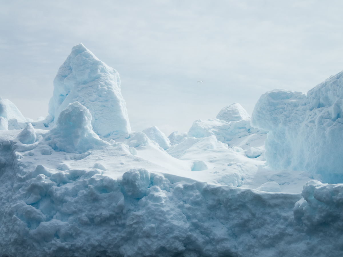 Icefjord Midnight Maraton 2022 - Tor Rnnow