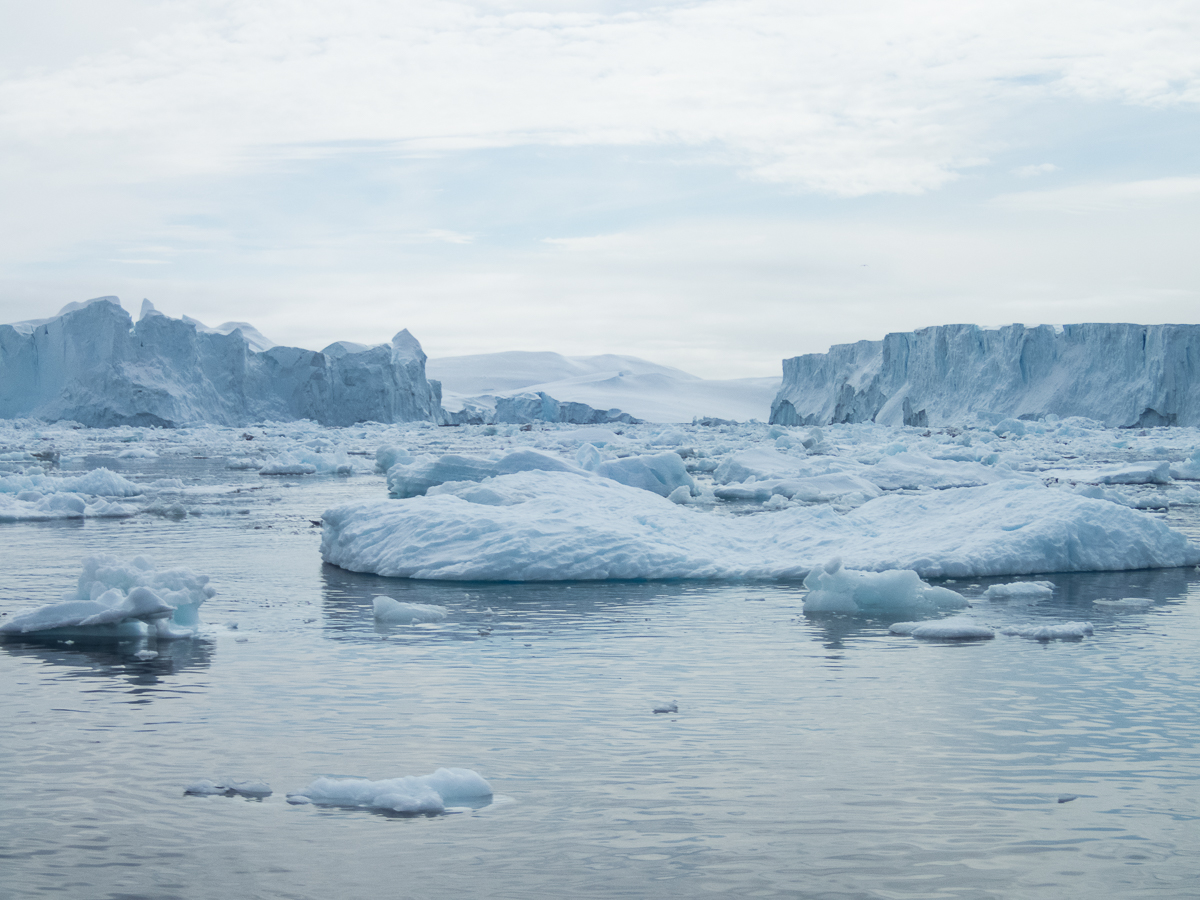 Icefjord Midnight Maraton 2022 - Tor Rnnow