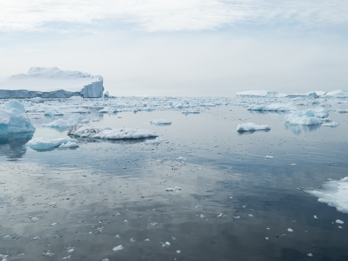 Icefjord Midnight Maraton 2022 - Tor Rnnow