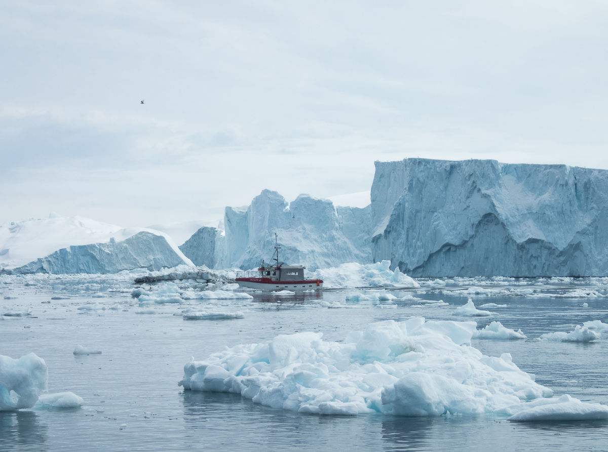 Icefjord Midnight Maraton 2022 - Tor Rnnow