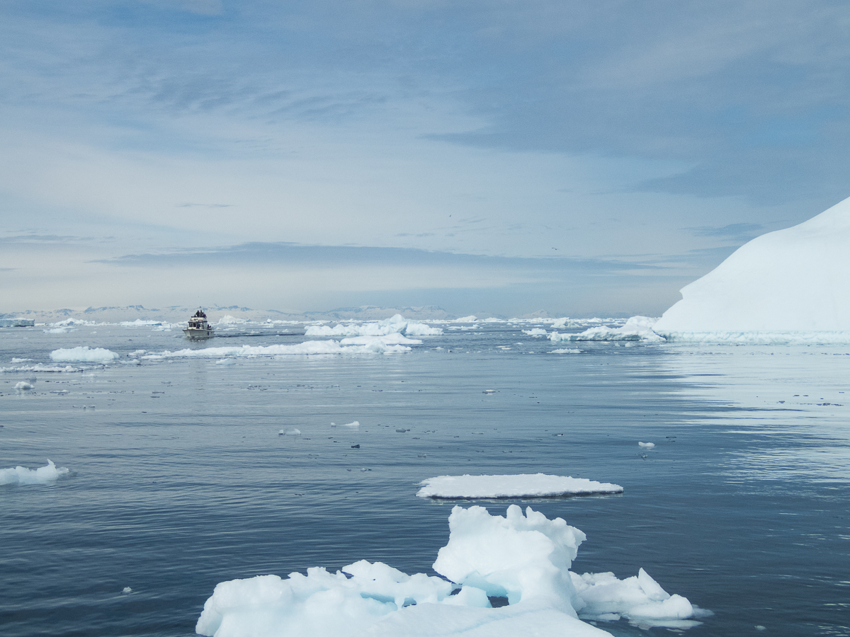 Icefjord Midnight Maraton 2022 - Tor Rnnow