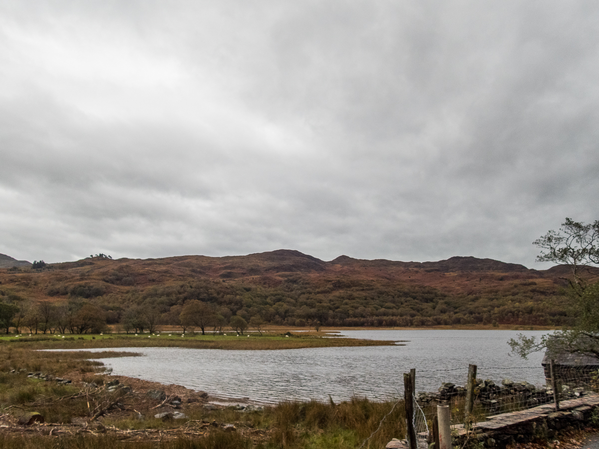 Snowdonia Marathon 2022 - Tor Rnnow