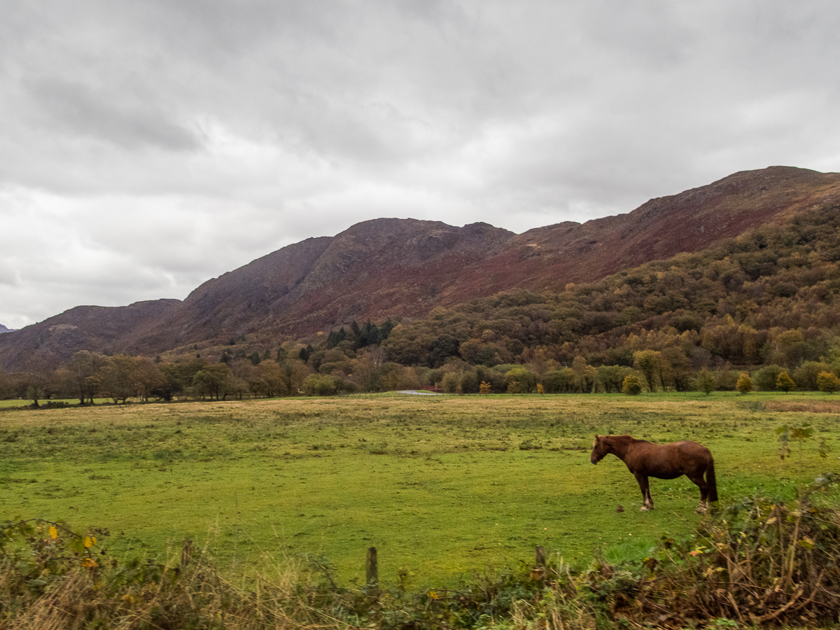 Snowdonia Marathon 2022 - Tor Rnnow