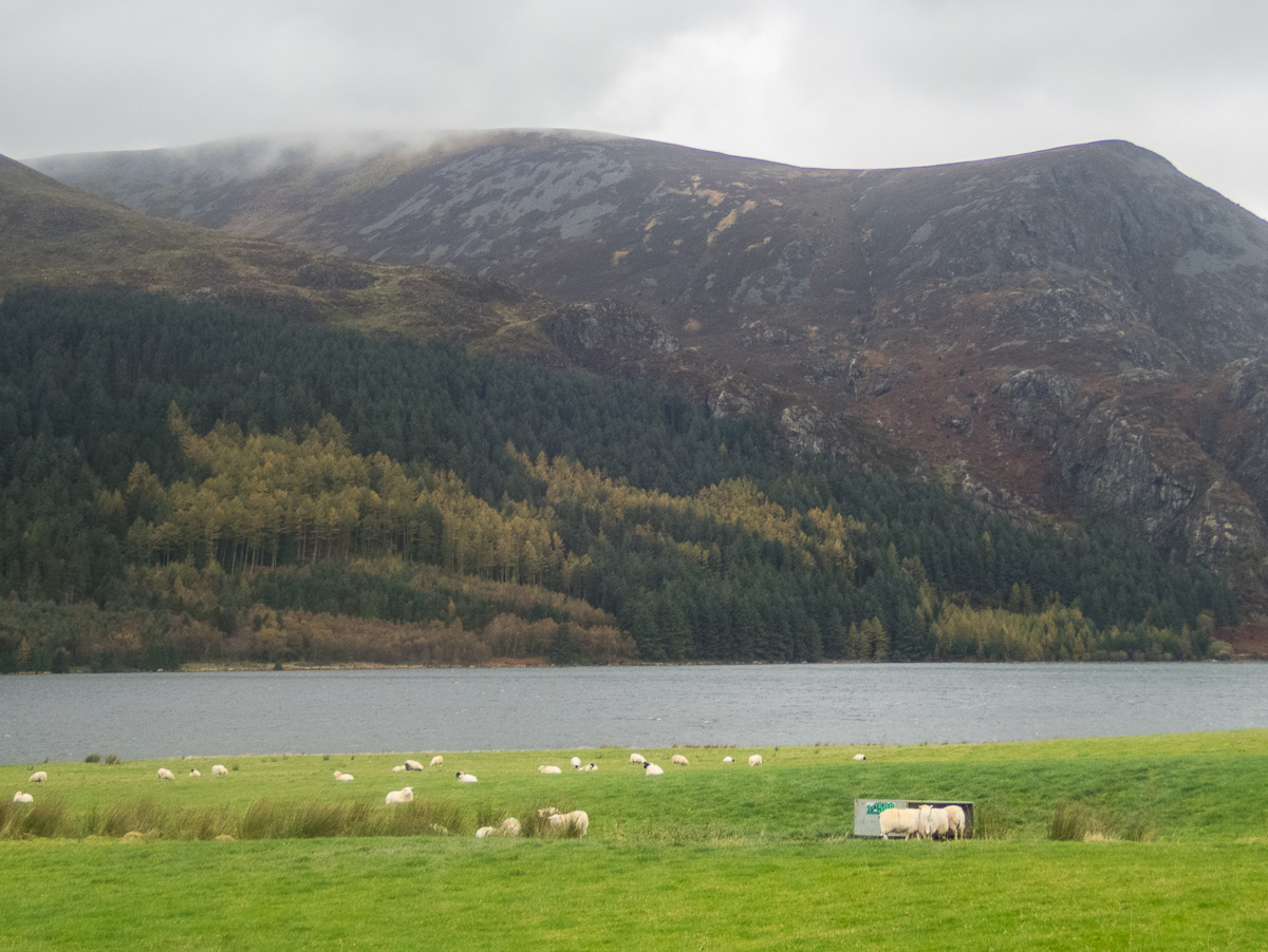 Snowdonia Marathon 2022 - Tor Rnnow