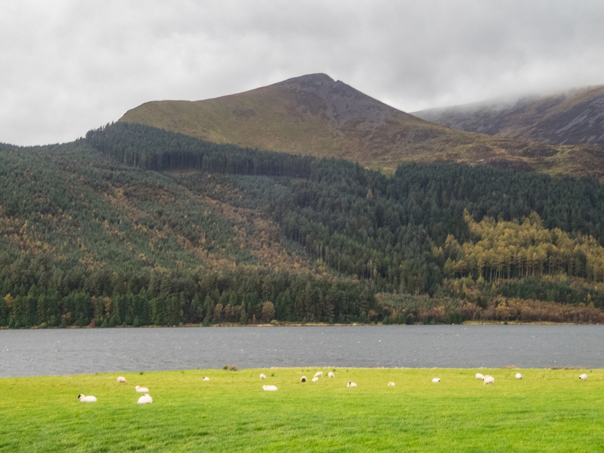 Snowdonia Marathon 2022 - Tor Rnnow