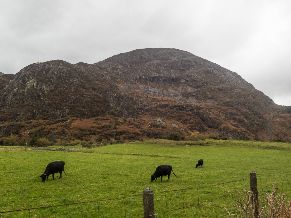 Snowdonia Marathon 2022 - Tor Rnnow