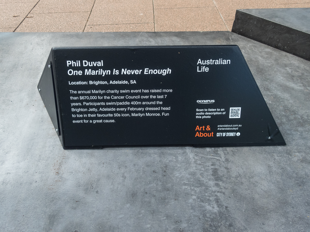 Sydney Marathon 2022 - Tor Rnnow