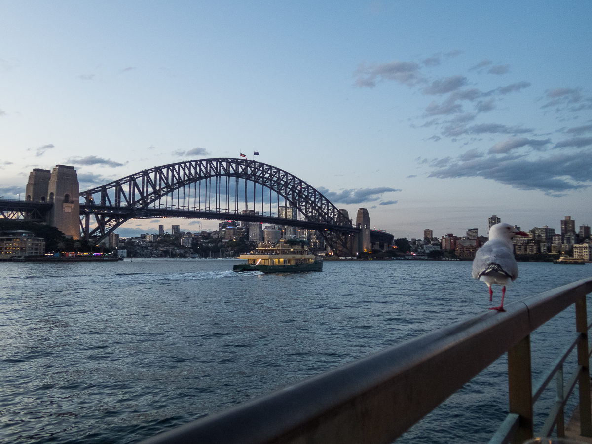 Sydney Marathon 2022 - Tor Rnnow