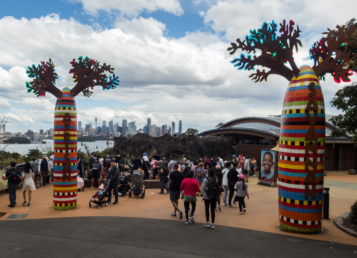 Sydney Marathon 2022 - Tor Rnnow