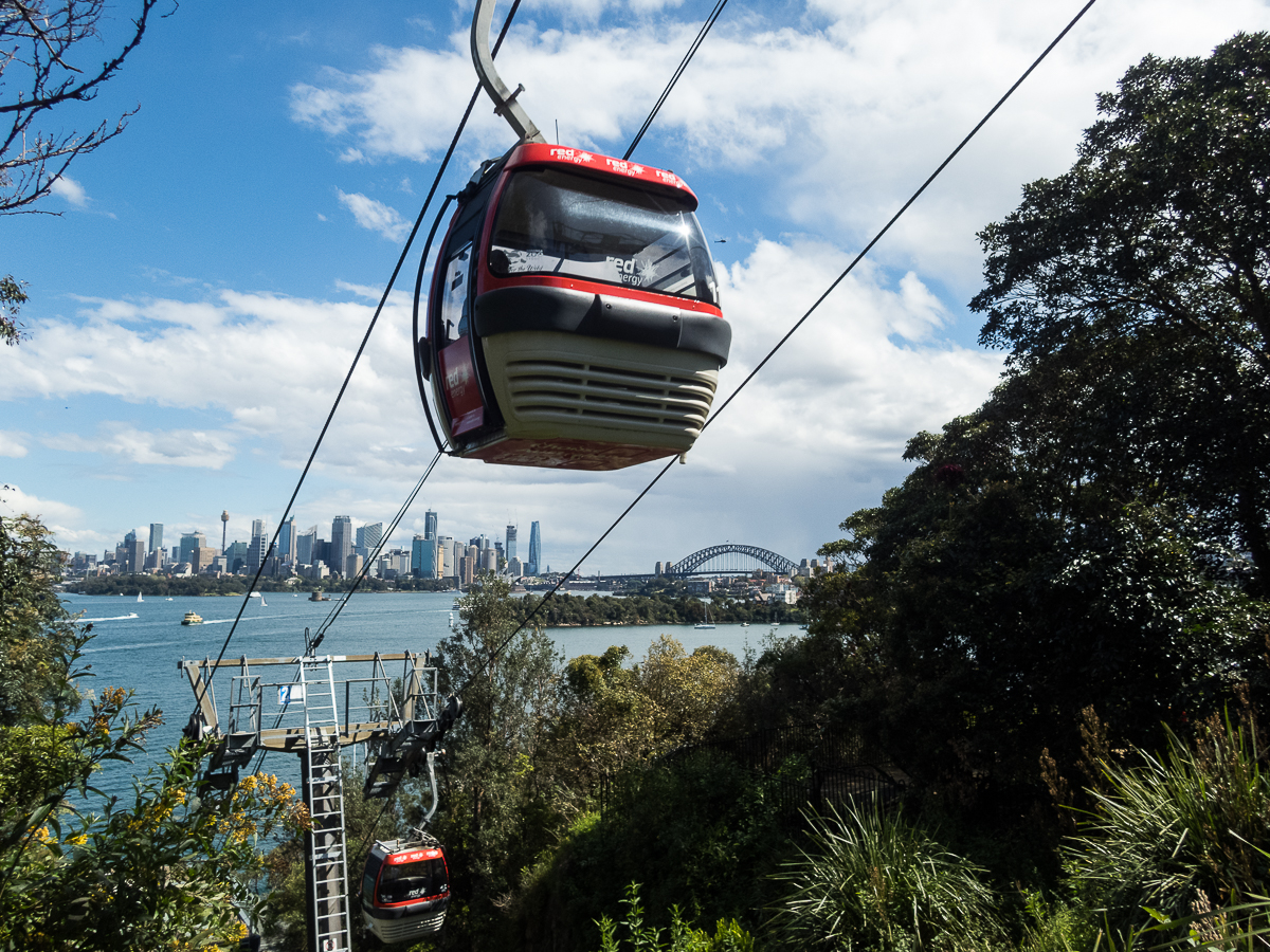 Sydney Marathon 2022 - Tor Rnnow