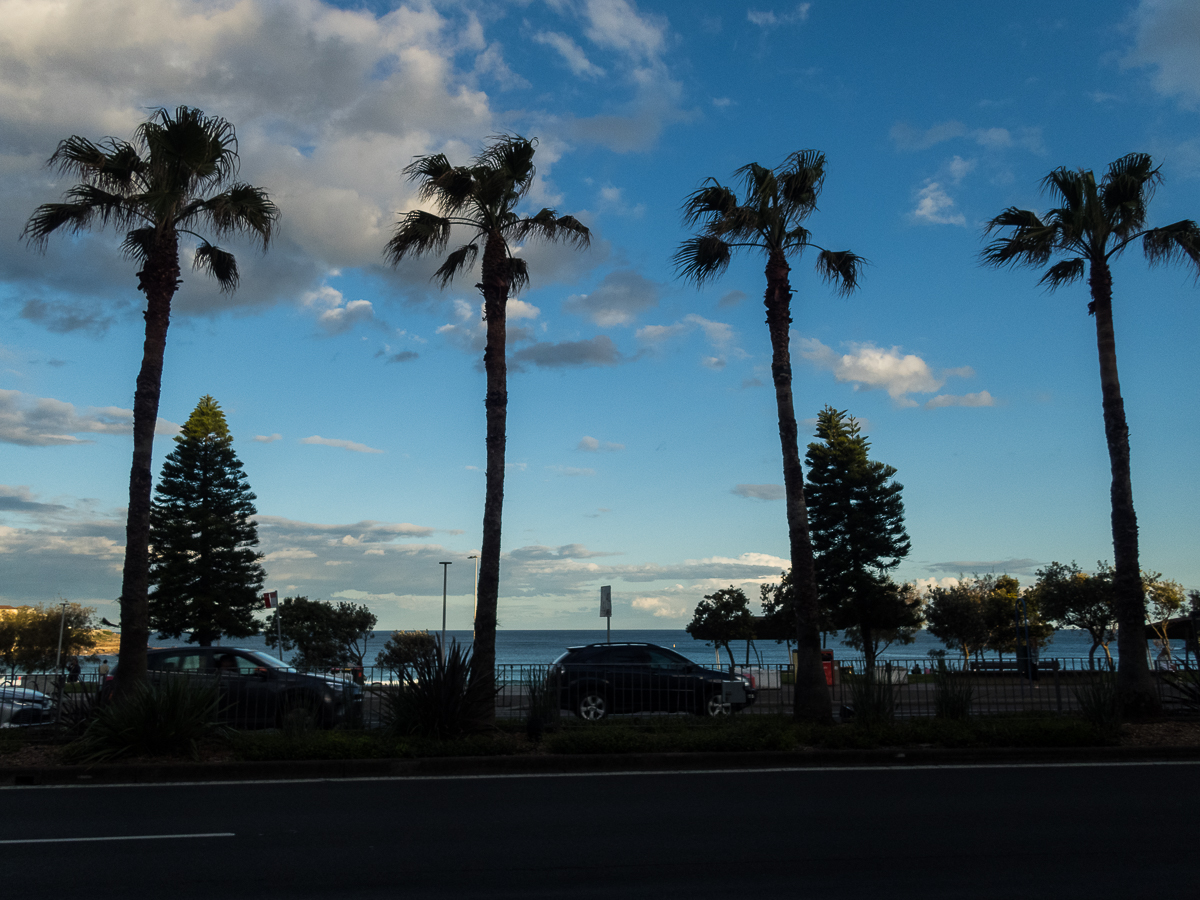 Sydney Marathon 2022 - Tor Rnnow