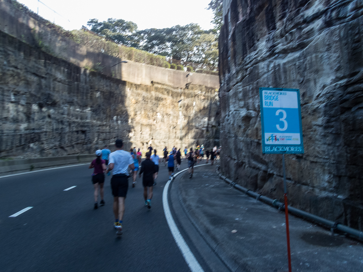 Sydney Marathon 2022 - Tor Rnnow