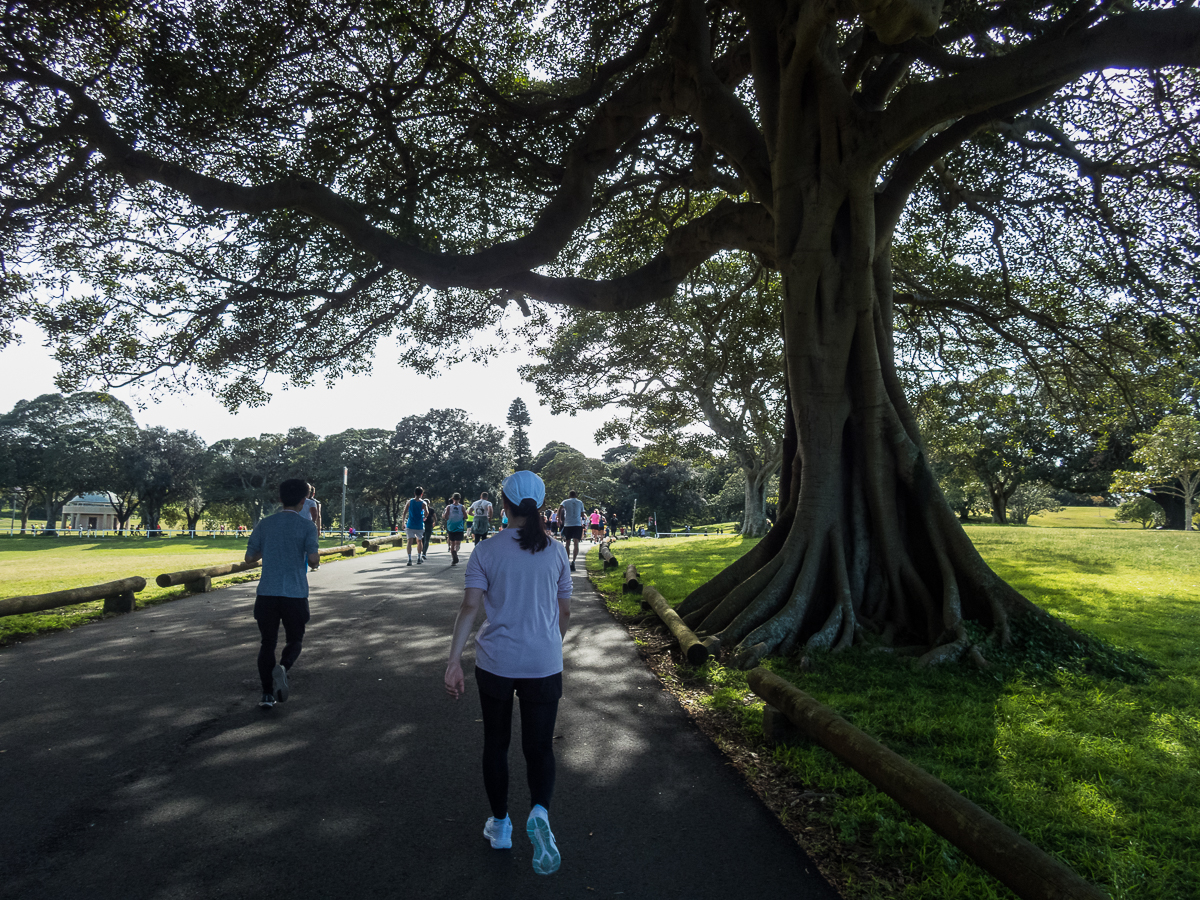 Sydney Marathon 2022 - Tor Rnnow